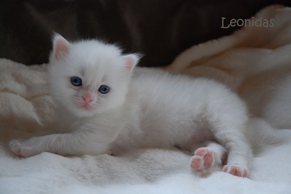 k-DSC_8373 Kopie.jpg